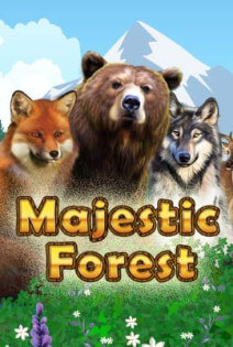 Majestic Forest